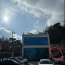 인천 애견동반카페 시흥 애견동반카페 / &#34;마크로스터스&#34; 애견동반카페 TOP1