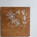 네일옵다 이미지
