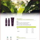포레스타FORESTA 이미지