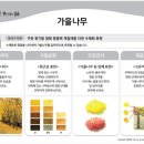 모두아트미술교습소 이미지