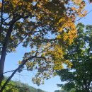 양평해장국레이크사이드점 | 레이크사이드CC 동코스 솔직 라운딩 후기