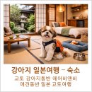 엔도펫 | 동반 숙소] 에어비앤비 기온거리 애견동반 숙소, 강아지랑 일본 교토여행, 일본에어비앤비 단점 솔직후기