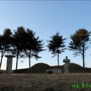 이신의선생묘 및 신도비 이미지