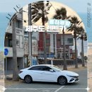 내가가고싶은 현대카크리닉 | 제주도렌트카가격비교 사이트 할인 돌하루팡 자차 추천