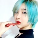 핑크브리즈힐 네이버블로그