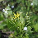 한국연합행정사사무소 이미지