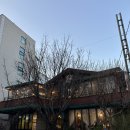 등촌역 고양이똥: 강서 브런치 카페 데이트 추천 내돈내산