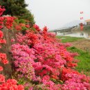 덕산방 이미지