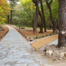 솔밭축산 이미지