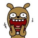 거북집 - 김해시 | 거북집