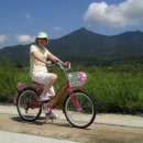 시골놀이터 이미지