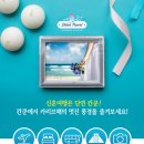 샤인트래블 이미지