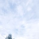 강변이야기펜션 이미지