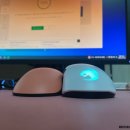 글로리어스 짐 이미지