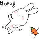 스튜디오9호텔 이미지