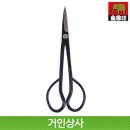 아사카