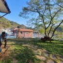 무주군부남면장안보건진료소 | 무주 장안 꽃마을 가꾸기_장안마루 꽃단장