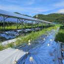 셀프 태양광발전소 이미지