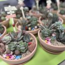 미라2길 이미지