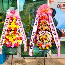 남도/ 강진. 장흥 익어가는 가을밤의 축제 한마당. 이미지