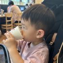 제일세탁 | 올보르 트라이크 세탁 방법, 매트 분리 X 부분 세탁 O