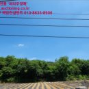 무등리 경로당 네이버블로그