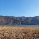 슬기로운행정사사무소 이미지