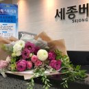 세종베스트치과의원 이미지