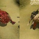 아일랜드 이미지