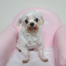 사림동225 이미지