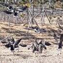 서구-02-24 이미지