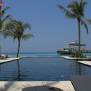 비타메인 이미지