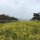 초양선착장 이미지