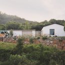 토끼집스테이 이미지