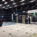 소나무헬스 이미지