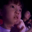 스카이워터쇼 이미지