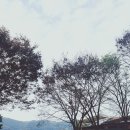 파주 강나루 야영장(캠핑장) 당일치기 초보 캠핑 후기, 행복한 시골길이 있는 곳