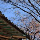 목월한의원 이미지