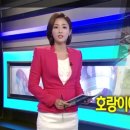 신희건