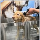 CU 신호점 이미지