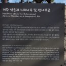 성읍리-12 이미지