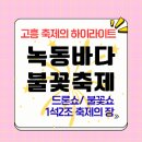 녹동어린이집 | [2026 녹동바다불꽃축제] 축제 일정 총정리: 드론쇼부터 불꽃쇼까지 한눈에 보기