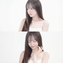 더리즈 이미지
