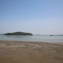 중왕뻘낙지 이미지