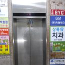 본삼로 이미지