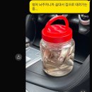 서울랜드 빙어낚시 체험 후기: 아이와 함께 즐길 수 있는 겨울 체험