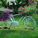 코스모스피아 이미지