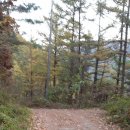 고성터널 이미지