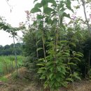 장중은농장 이미지