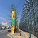 내덕자연시장 이미지